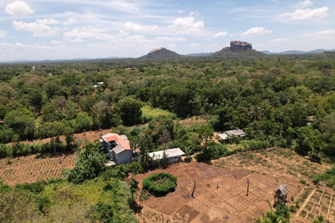 Sigiriya Sun Shine Villa Экстерьер фото